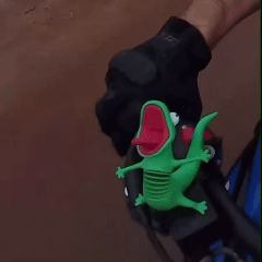Moto Lizard™